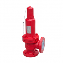 FEP or PFA Lined Safety valve